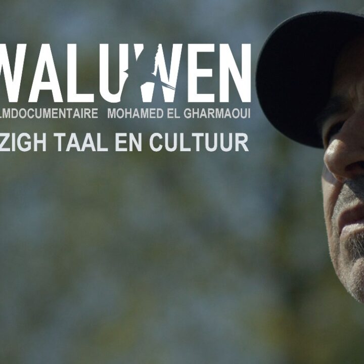 Zwaluwen Filmdocumentaire